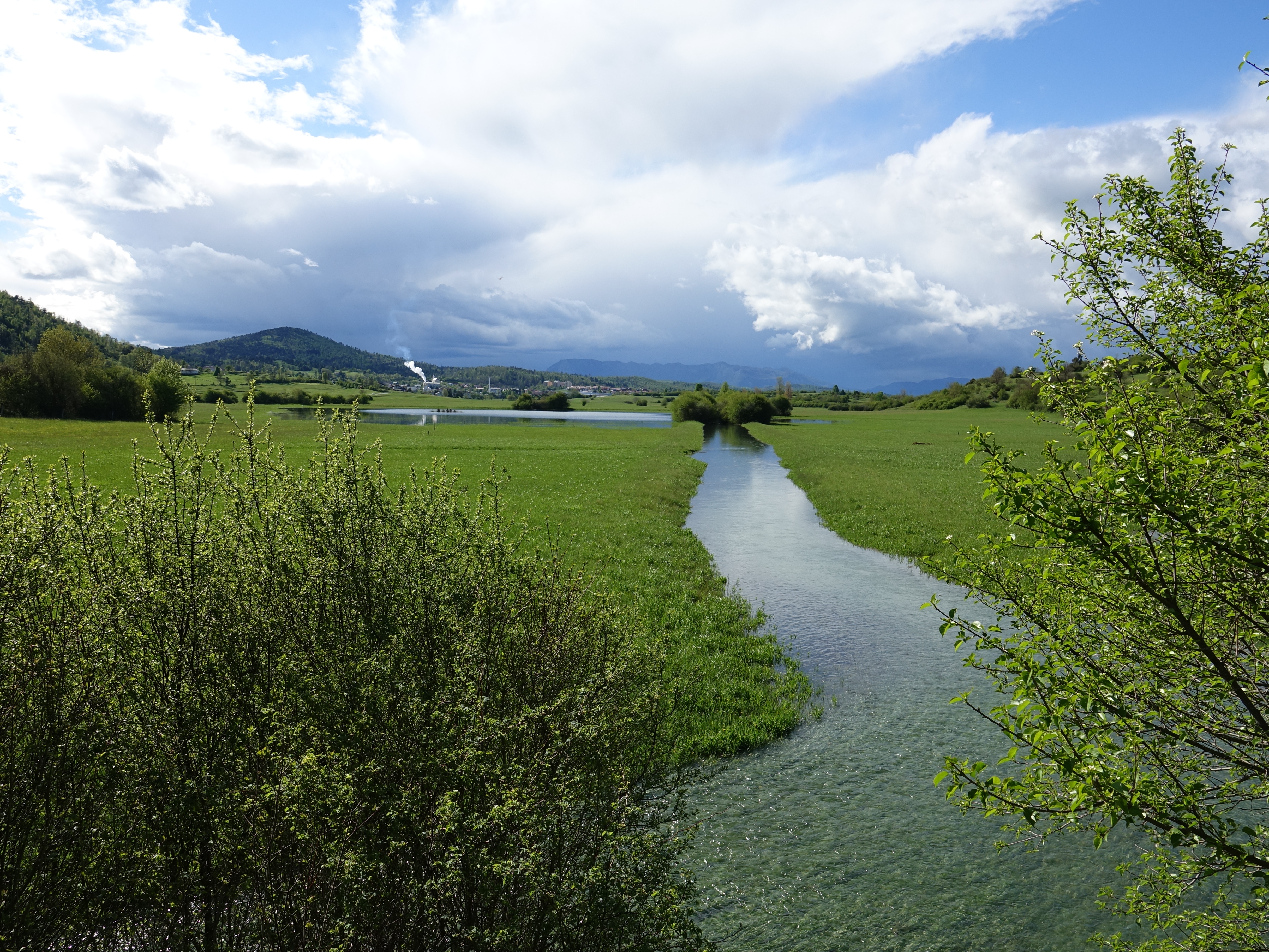 overview