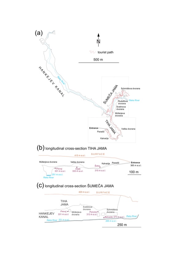 overview