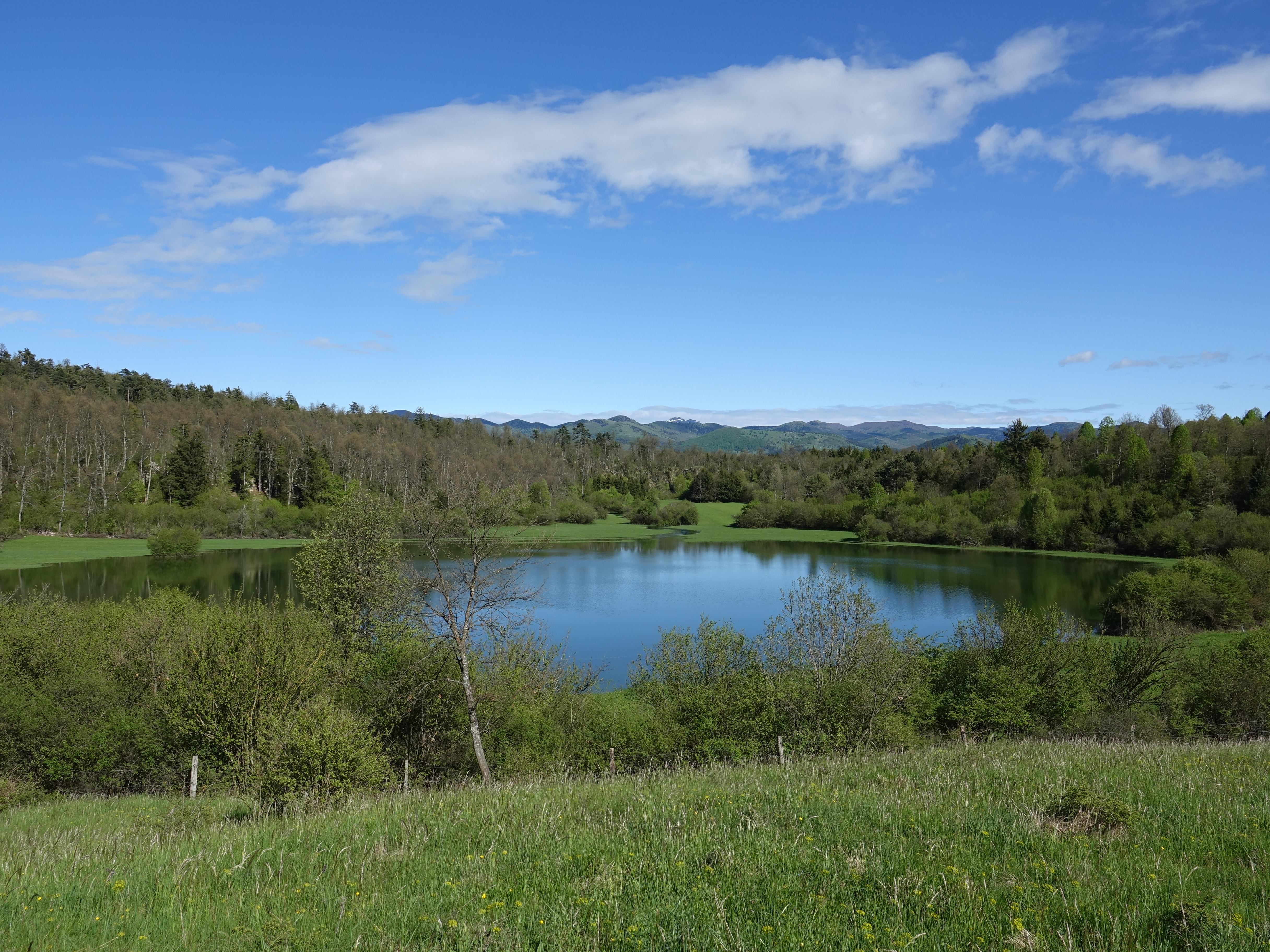 overview