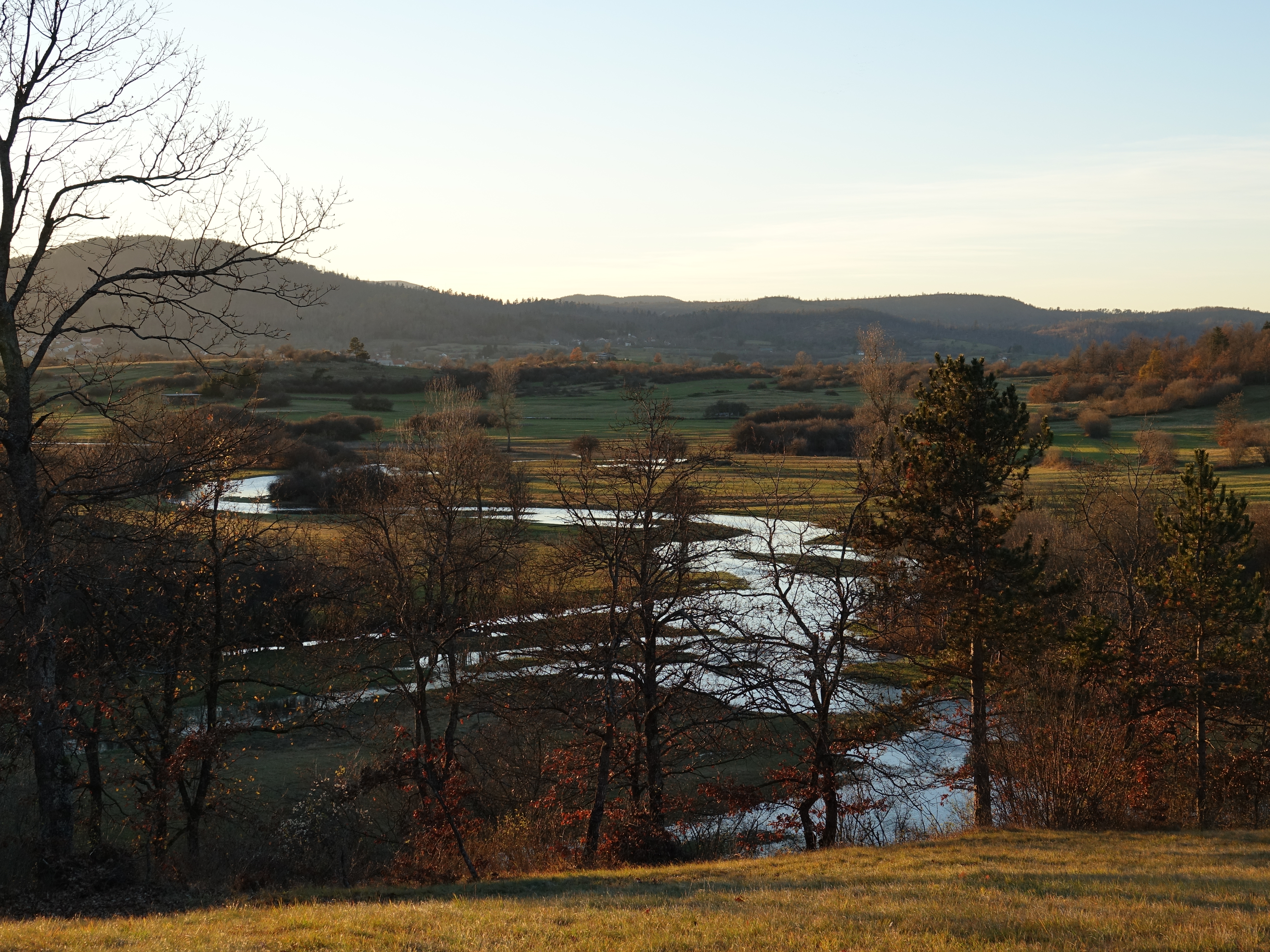 overview